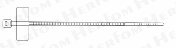 image-20220531152729779